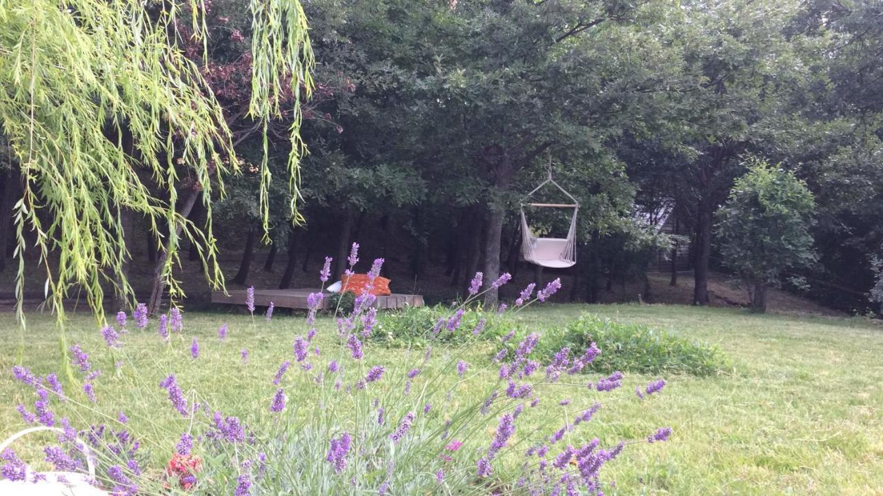 Vieniacasaccadia Bed and Breakfast Buitenkant foto
